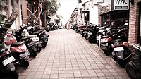 Overal heel veel scooters