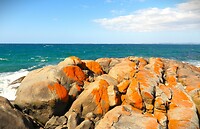 Tasmanië, Australië