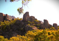 Tasmanië, Australië