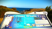 Tasmanië, Australië