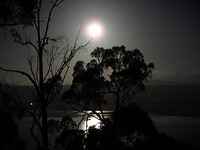 Tasmanië, Australië