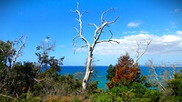 Tasmanië, Australië