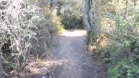 lopen vanaf de bushcabin 1