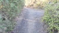 lopen vanaf de bushcabin 2
