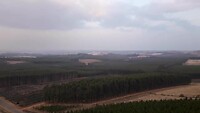 uitzicht vanuit Piet Retief
