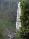 DSC00333