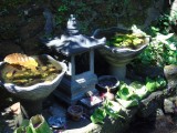 DSC00432