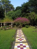 DSC00461