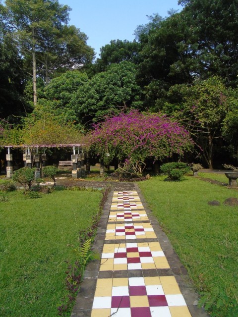 DSC00461
