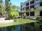 DSC00471