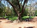 Parkleven