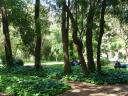 Nog meer botanische tuin