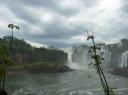 P1030771-550