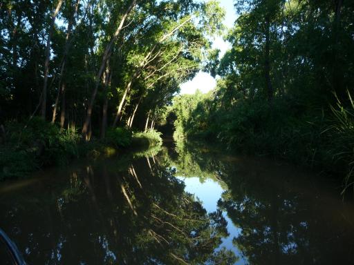 Beeldschoon