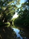 Beeldschoon 2