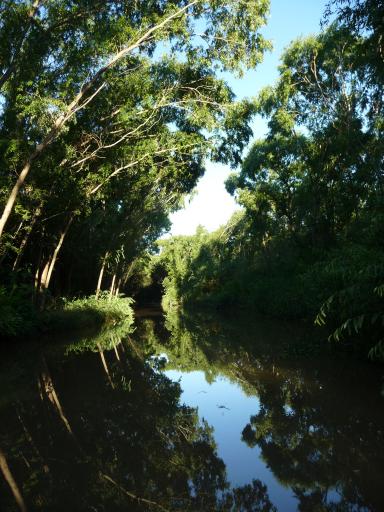 Beeldschoon 2
