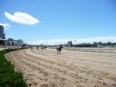 Paardenrace