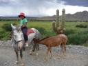 Gaucho in de dop