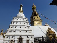 DSCN2199