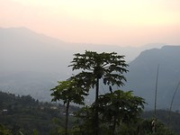 DSCN2878