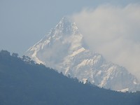 DSCN3531