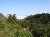 DSCN3894