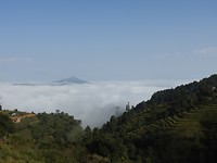 DSCN3895