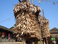 DSCN3972