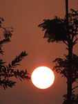 DSCN4385