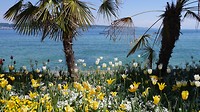 Am Insel Mainau