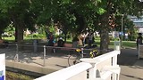 Am Ufer Bregenzer Boulevard
