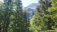 Hochtanner Alpenstraße