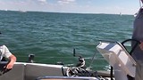 Op de Oosterschelde