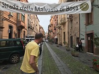 Bosa