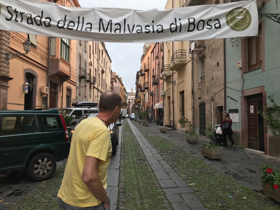 Bosa