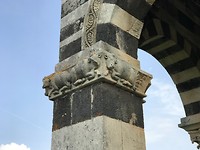 Koe in kapitel
