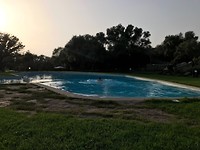 Zwembad