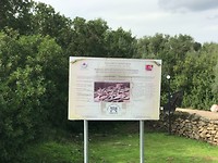 Nuraghe