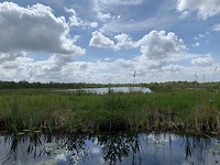 Weerribben