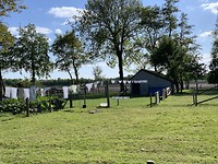Wasje in Nunspeet