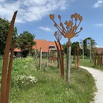 Oerol