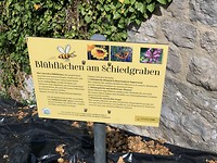 Insecten in oude schietplaatsen