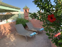 Dakterras