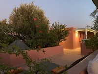 Dakterras