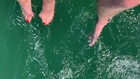 Voetjes in de Oosterschelde