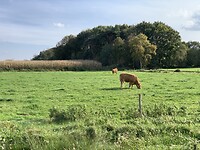 Fietsknoop tocht Norg Peest Roden