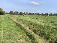 Noorderveld