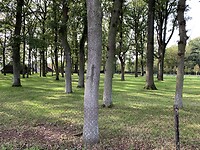 Onderweg