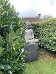 Zen in de achtertuin