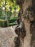Tuin Eshof